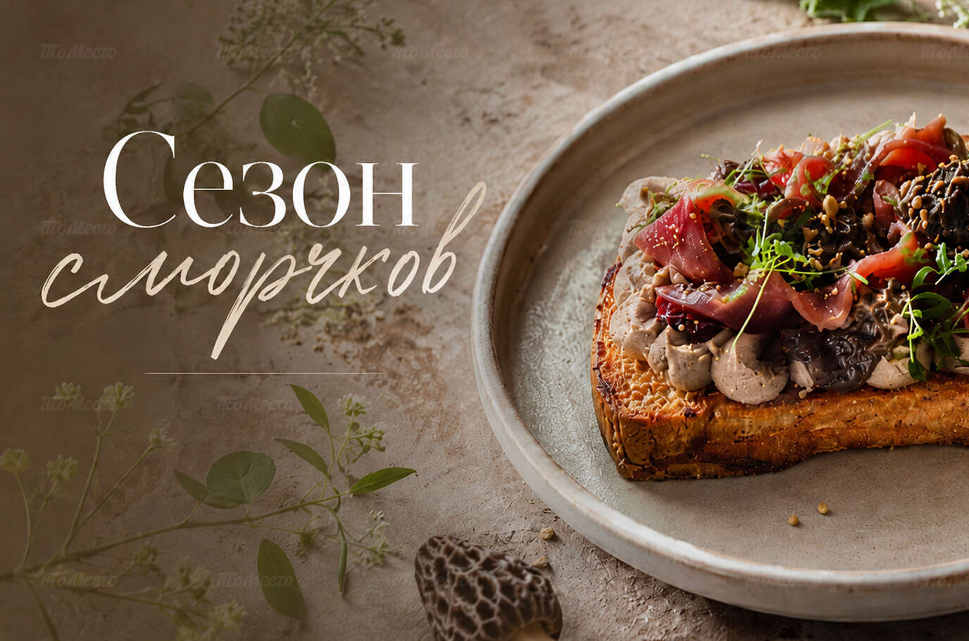 Новое сезонное меню со сморчками