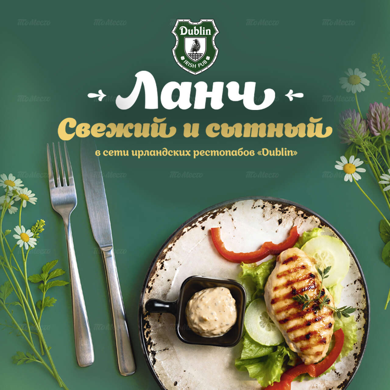 Свежие и сытные ланчи