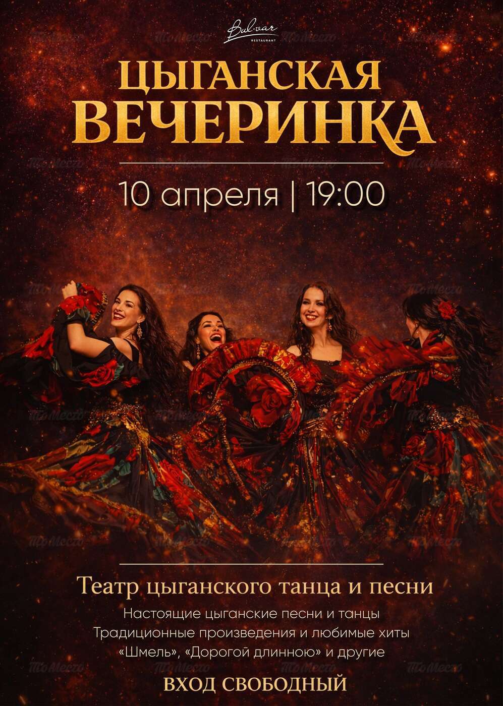 Цыганская вечеринка. Театр цыганского танца и песни