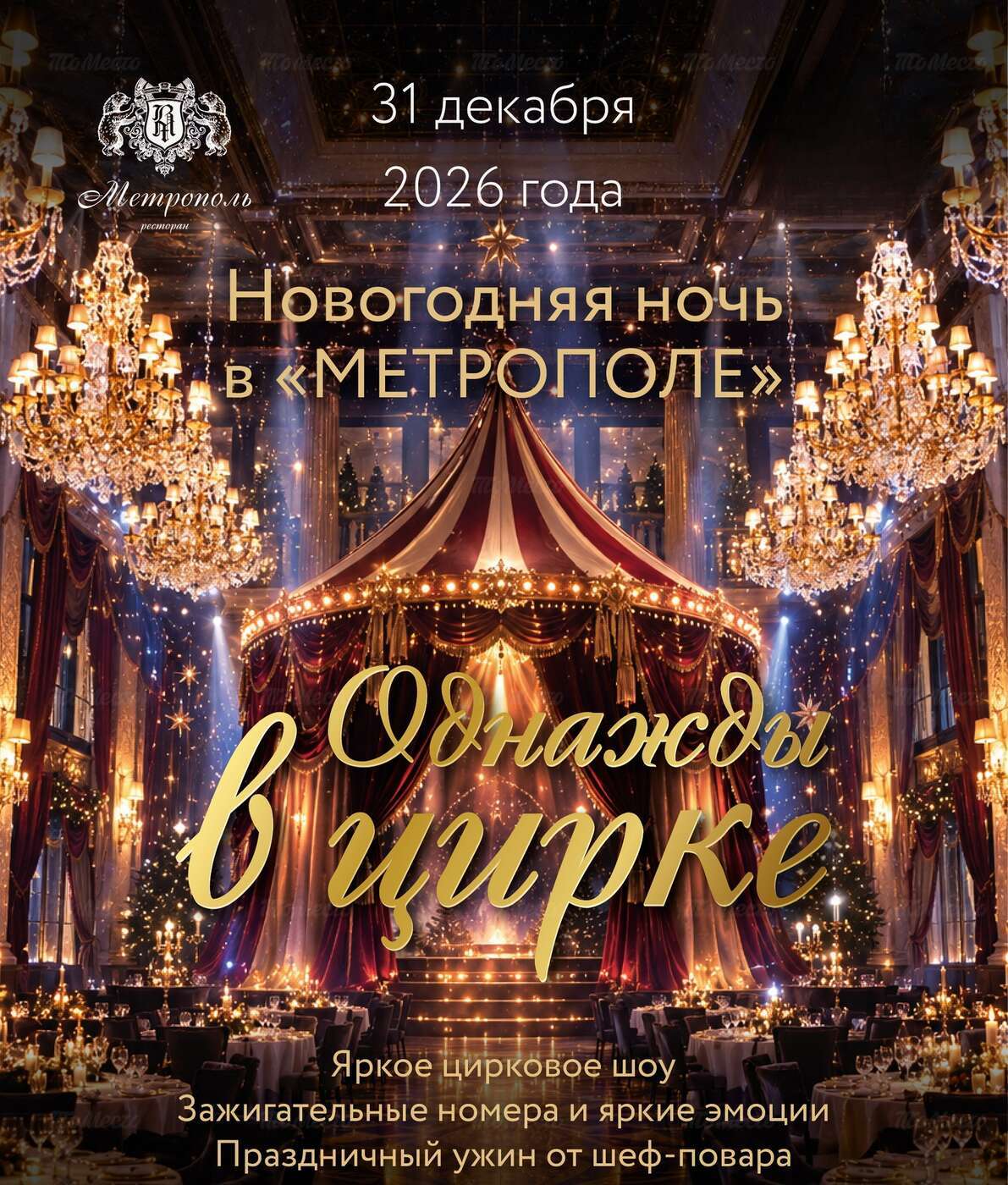 Новогодняя ночь — 2027. Шоу «Однажды в цирке»