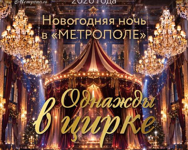 Новогодняя ночь — 2027. Шоу «Однажды в цирке»