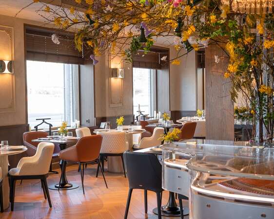 Reina (бывш. Gambit bistro)